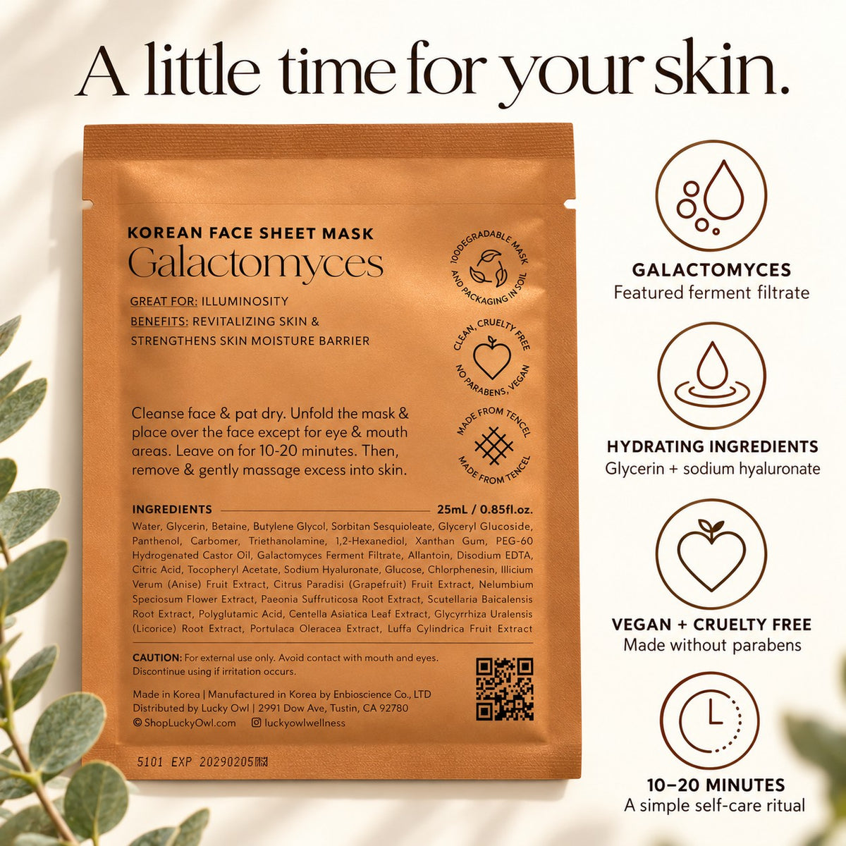 Lucky Owl Korean Sheet Mask Gift Set | 4 Masks & Encouraging Messages